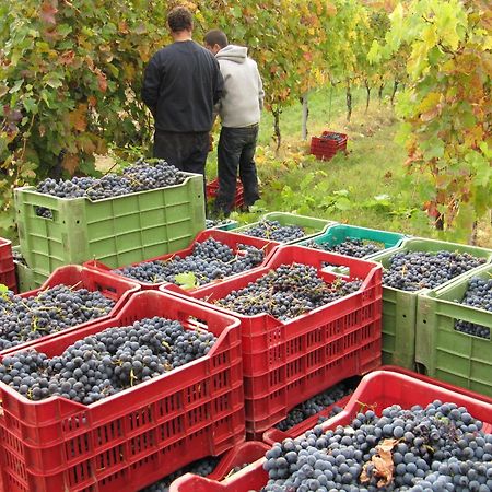 Podere Riosto Cantina&Agriturismo Pianoro Kültér fotó