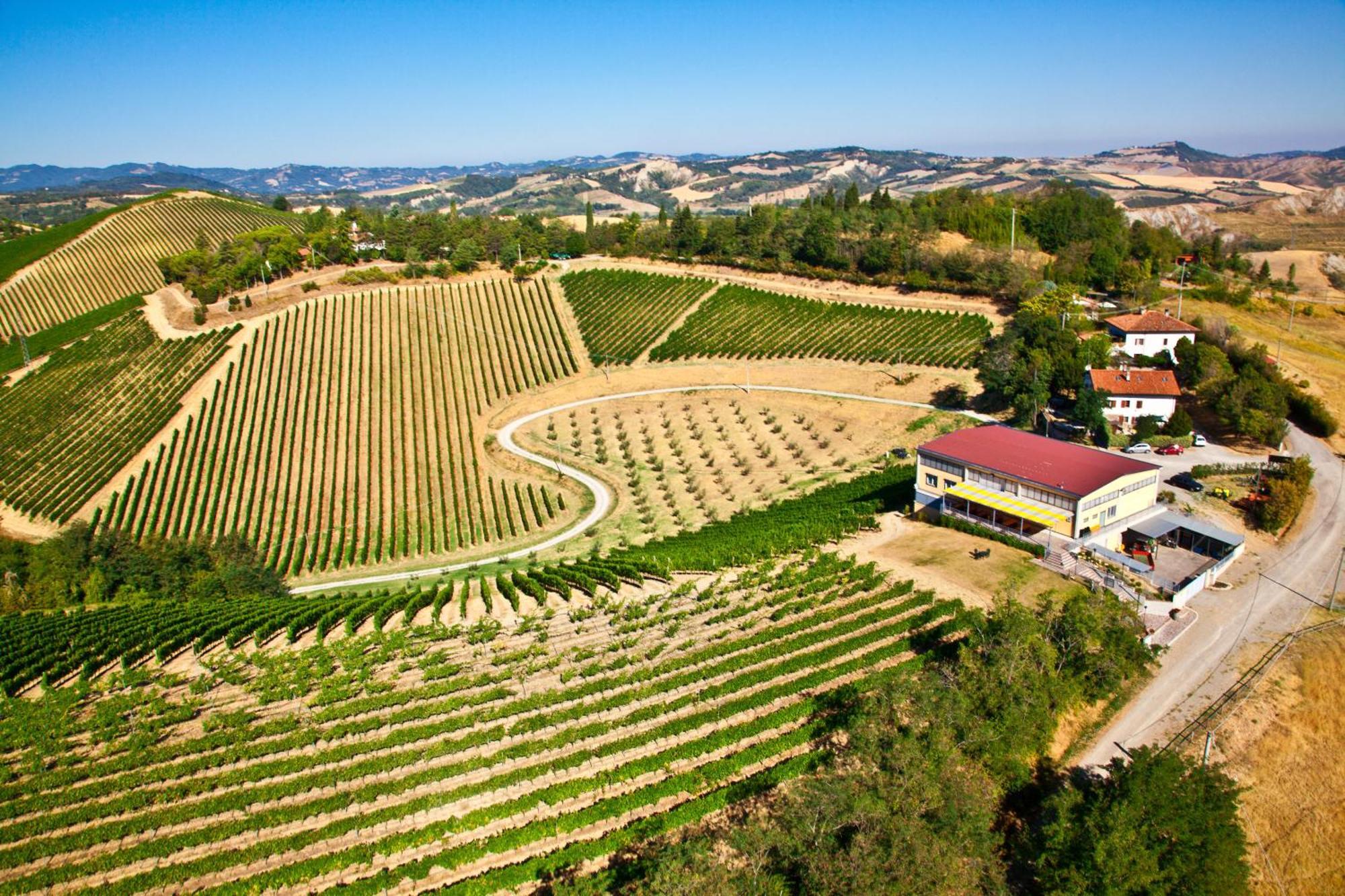 Podere Riosto Cantina&Agriturismo Pianoro Kültér fotó